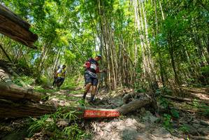 BIB: 
                            <button type="button" onclick="openModal(19394378)" class="btn btn-primary btn-sm float-right btn-popup" data-toggle="modal" data-target=".modal-high-quality">
                        <i class="fas fa-shopping-cart"></i> Add to Cart
                    </button>
                                            <button type="button" onclick="isThisMe(19394378, true)" class="btn btn-success btn-sm float-right btn-popup btn-isme hidden" data-toggle="tooltip" data-placement="bottom" title="นี่คือรูปของคุณใช่ไหม คลิกที่นี่เพื่อเอาเข้าอัลบั้ม">
                        <i class="fas fa-plus"></i> Add to album
                    </button>
                    <button type="button" onclick="isThisMe(19394378, false)" class="btn btn-warning btn-sm float-right btn-popup btn-isnotme hidden">
                        <i class="fas fa-ban"></i> Remove from album
                    </button>